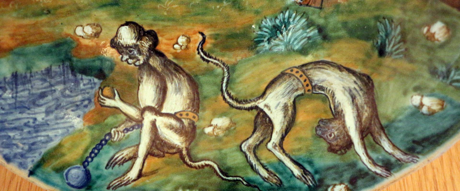 Forlì, catinetto, 1562, 02 scimmie foto di Sailko